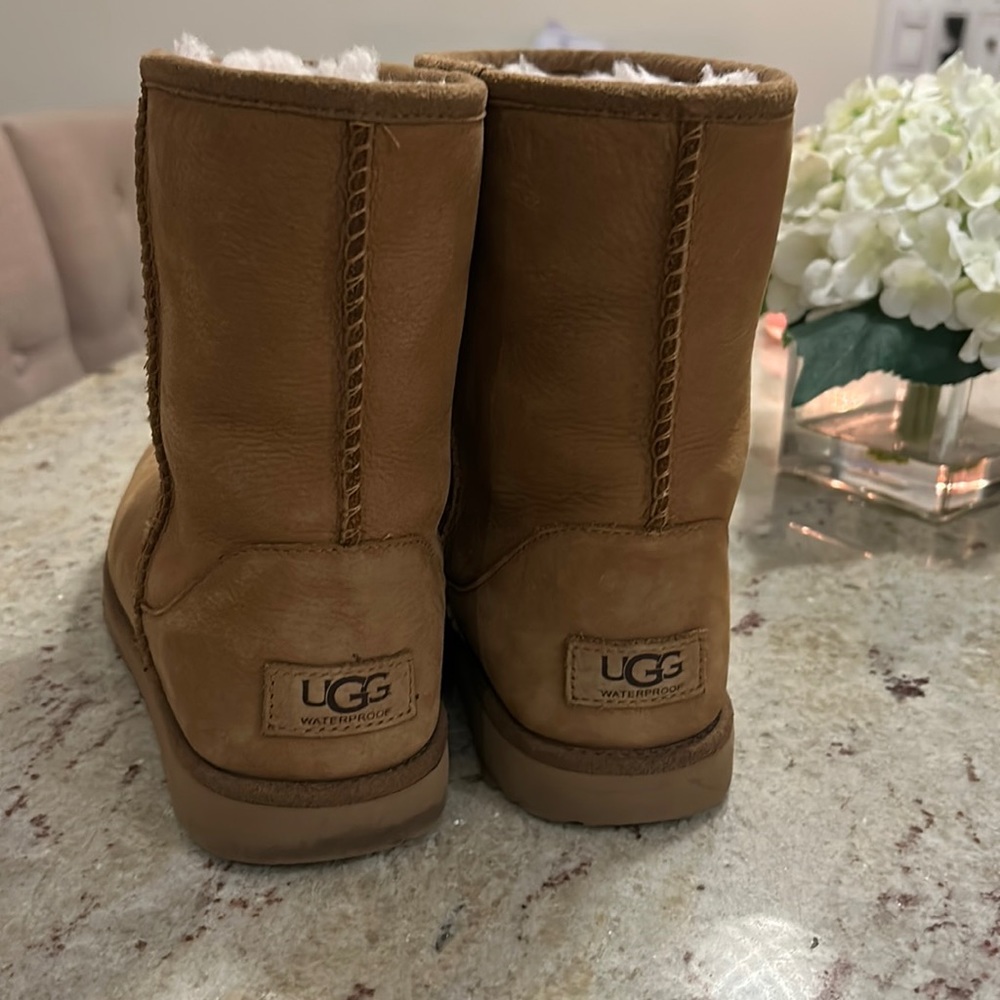 Chestnut Uggs